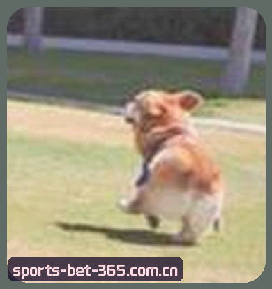 刘洋